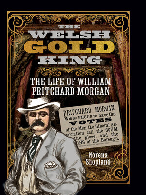 cover image of The Welsh Gold King